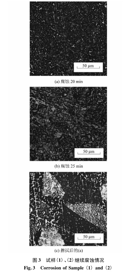 試樣(1)、(2)繼續(xù)腐蝕情況