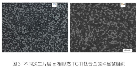 1636688517174374.jpg 33.jpg