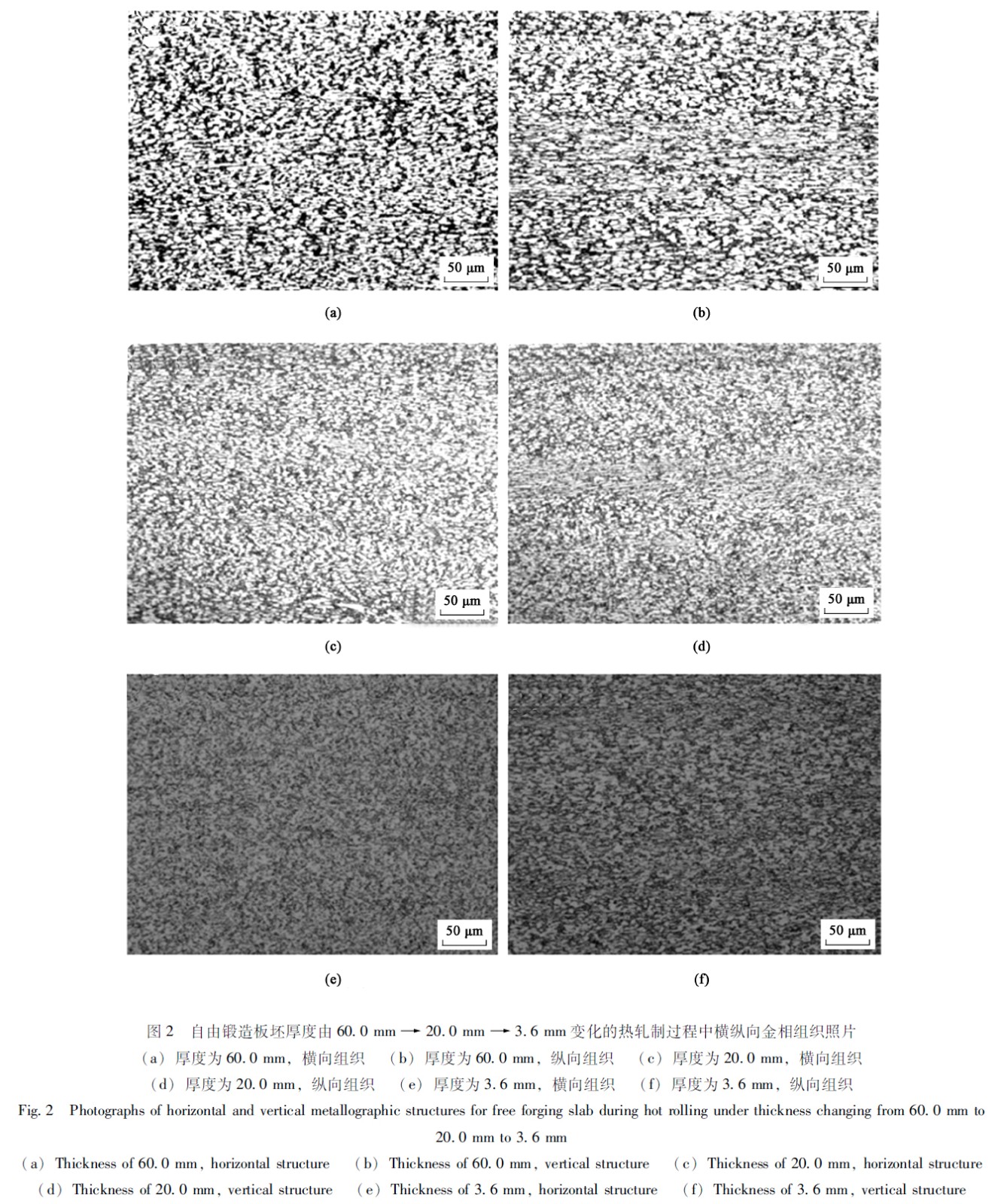 1671632267778479.jpg t2.jpg