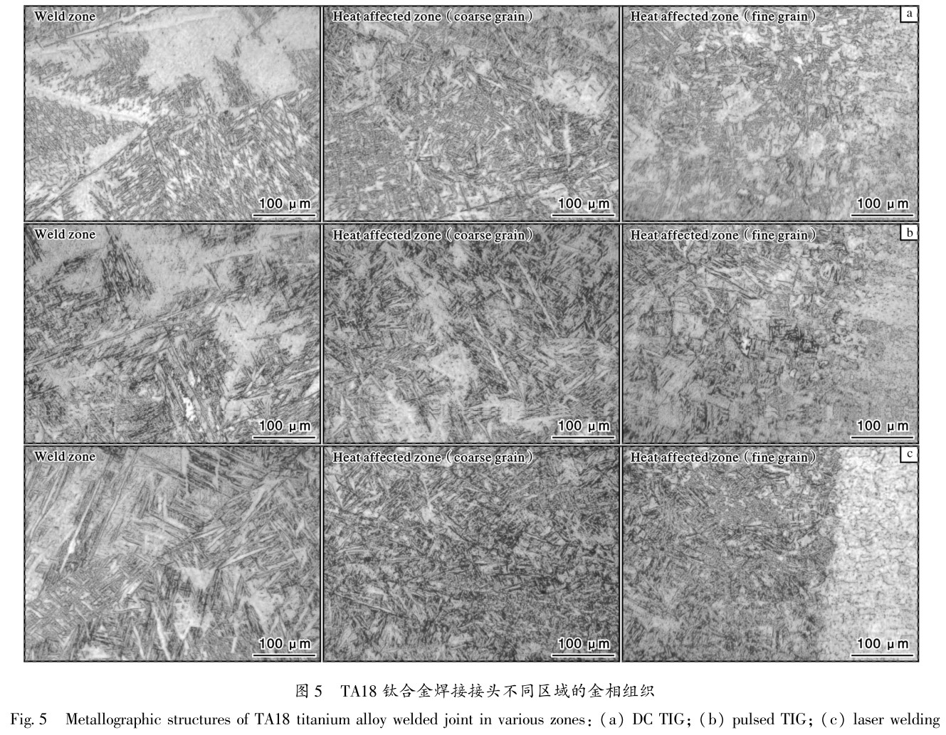 1686218231826627.jpg t5.jpg