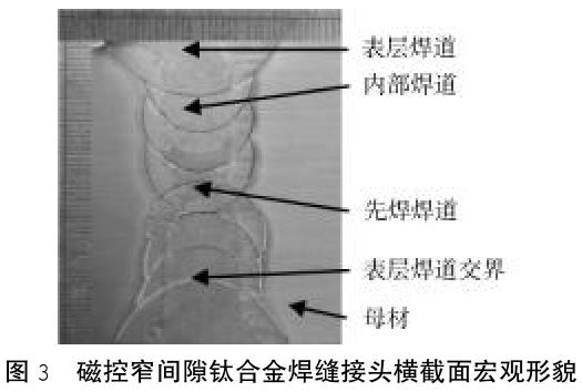 1686713954309162.jpg t3.jpg