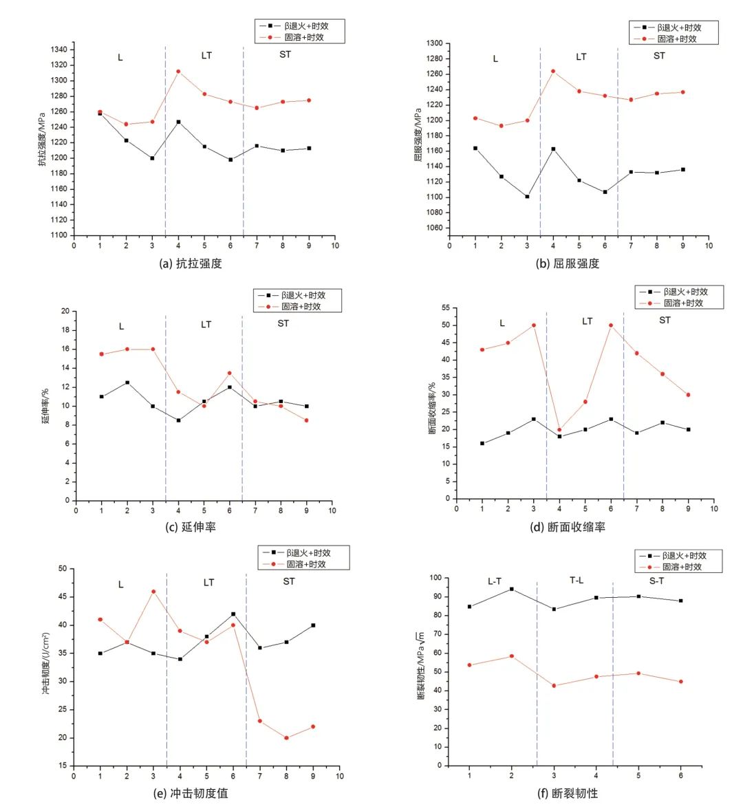 1697978406139283.jpg 10.jpg