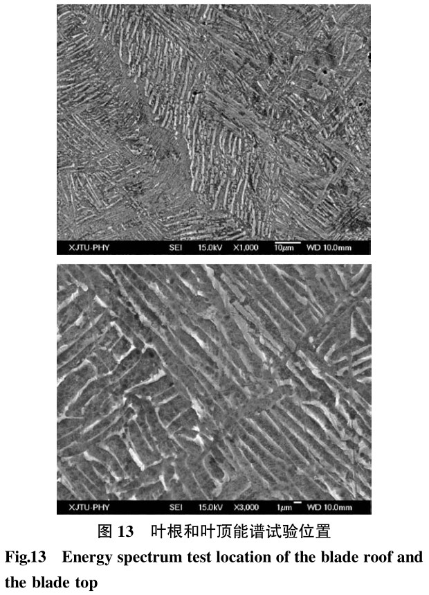 1700692144901745.jpg t13.jpg