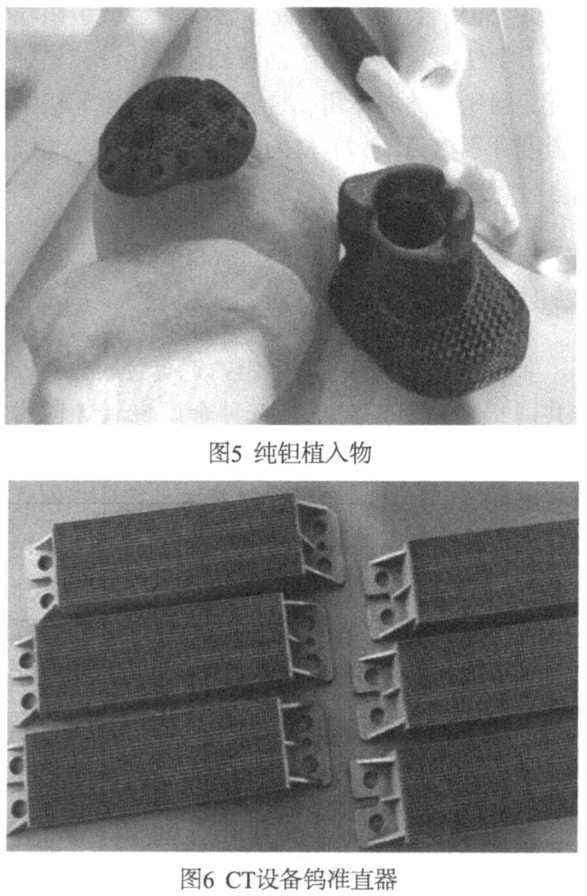 1701419679545954.jpg t5-6.jpg