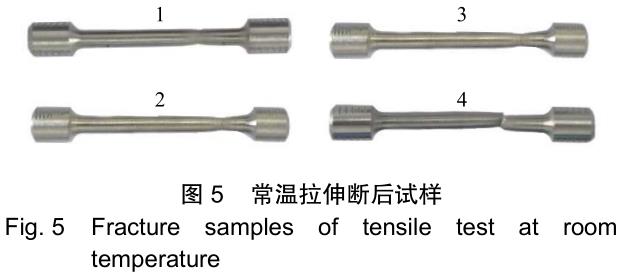 1706279178709712.jpg t5.jpg