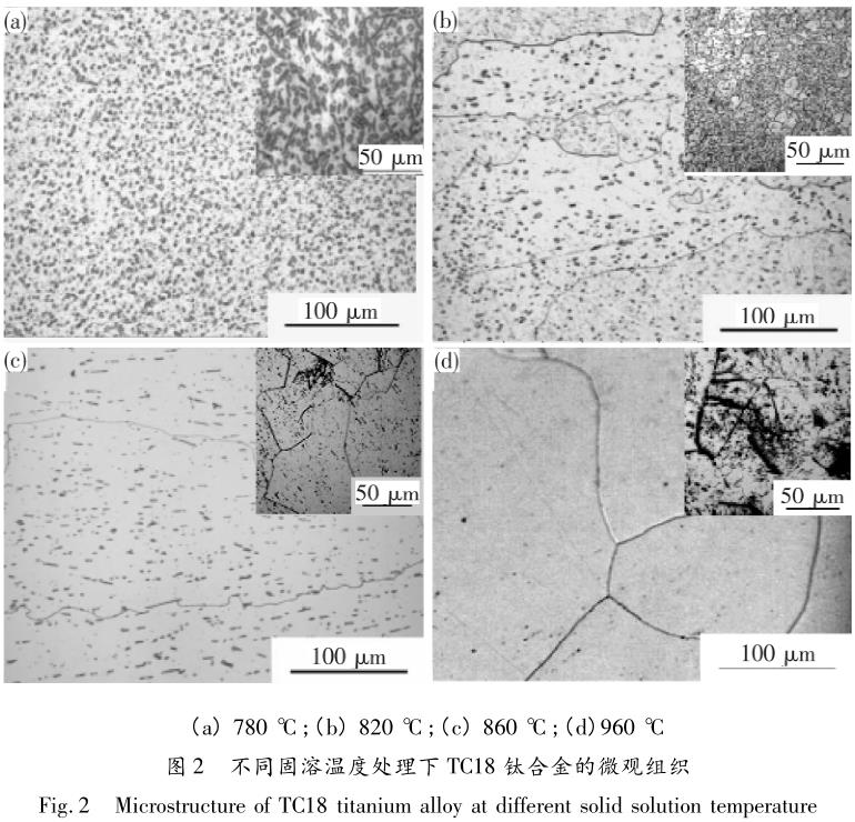 1708416414954095.jpg t2.jpg