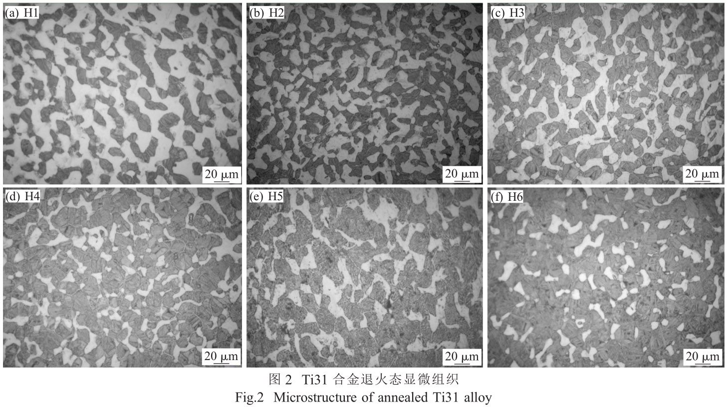 1712459827218689.jpg 22.jpg