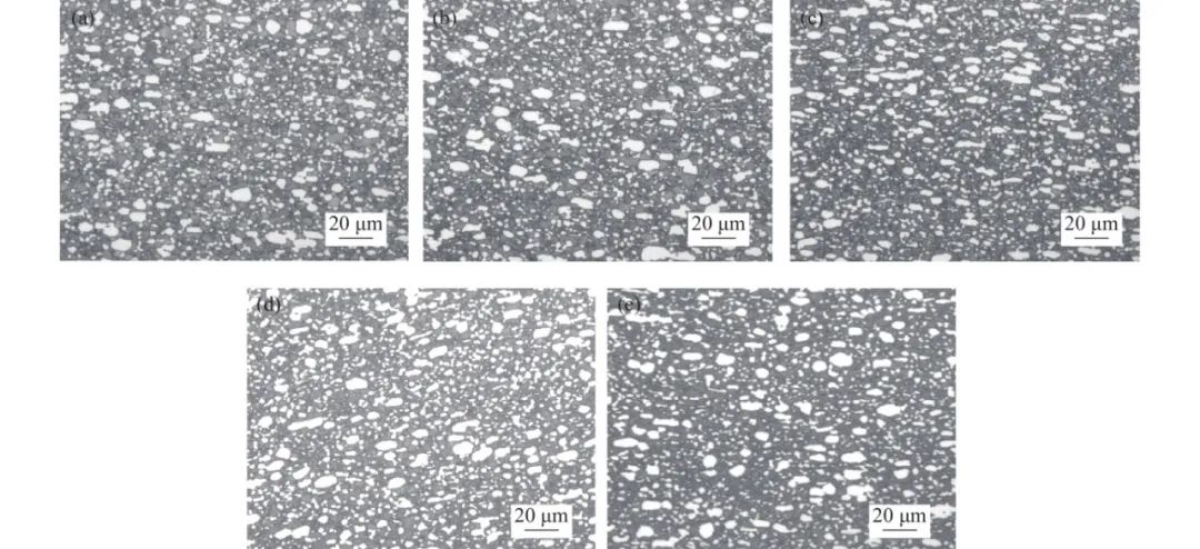 1712888003416367.jpg t3.jpg