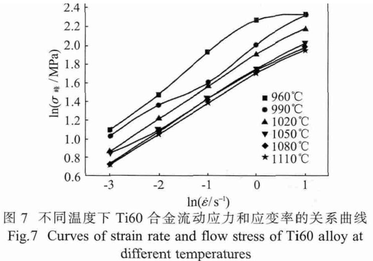 1713495579367484.jpg t7.jpg