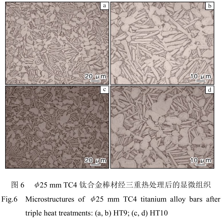 1713948912508122.jpg t6.jpg