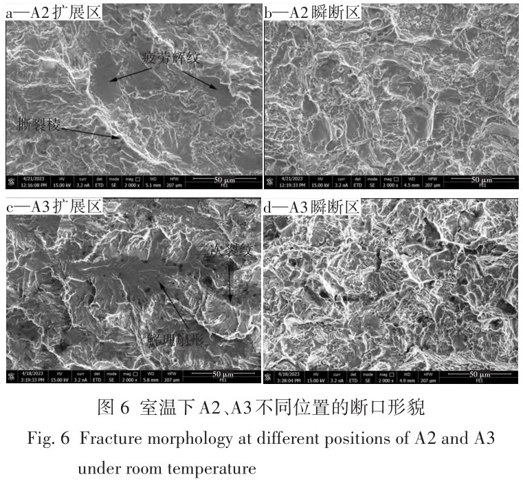 1713950923395821.jpg t6.jpg