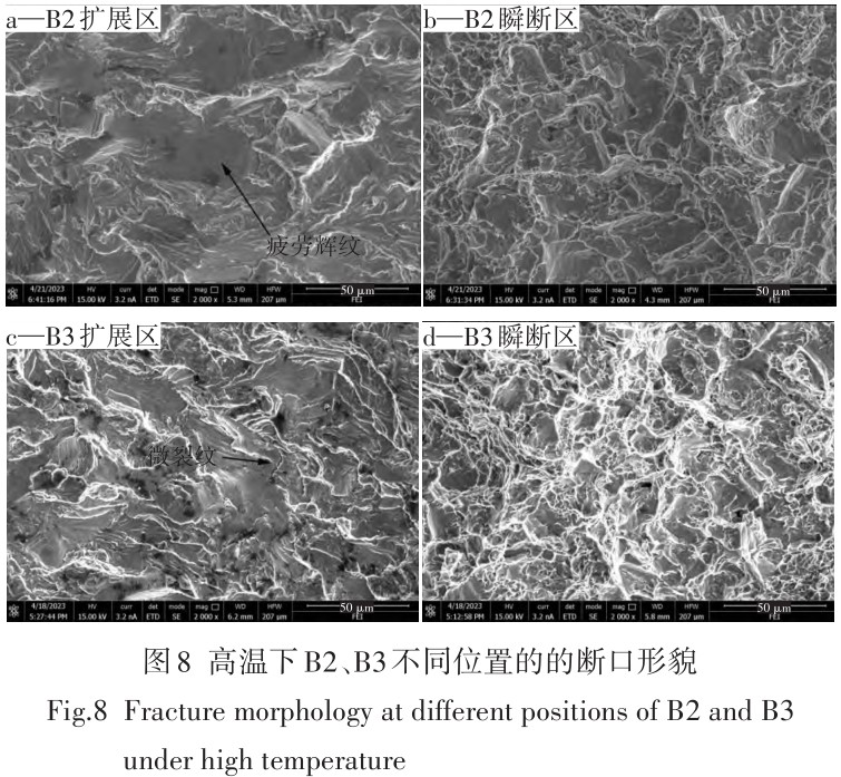 1713950940221351.jpg t8.jpg