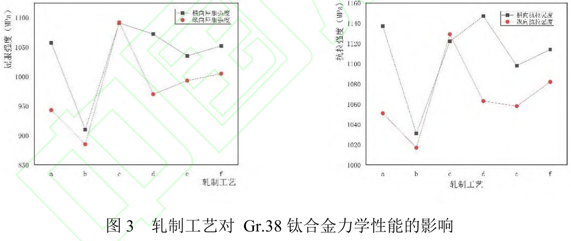 1719804190710129.jpg t3.jpg
