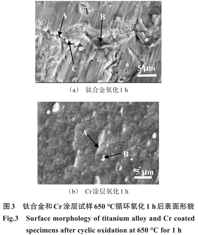 1721726160414375.jpg 360截圖16390405345467.jpg