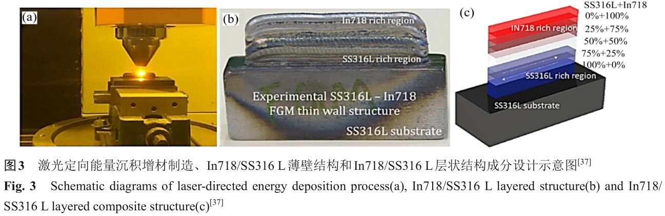 1724665031751513.jpg t3.jpg