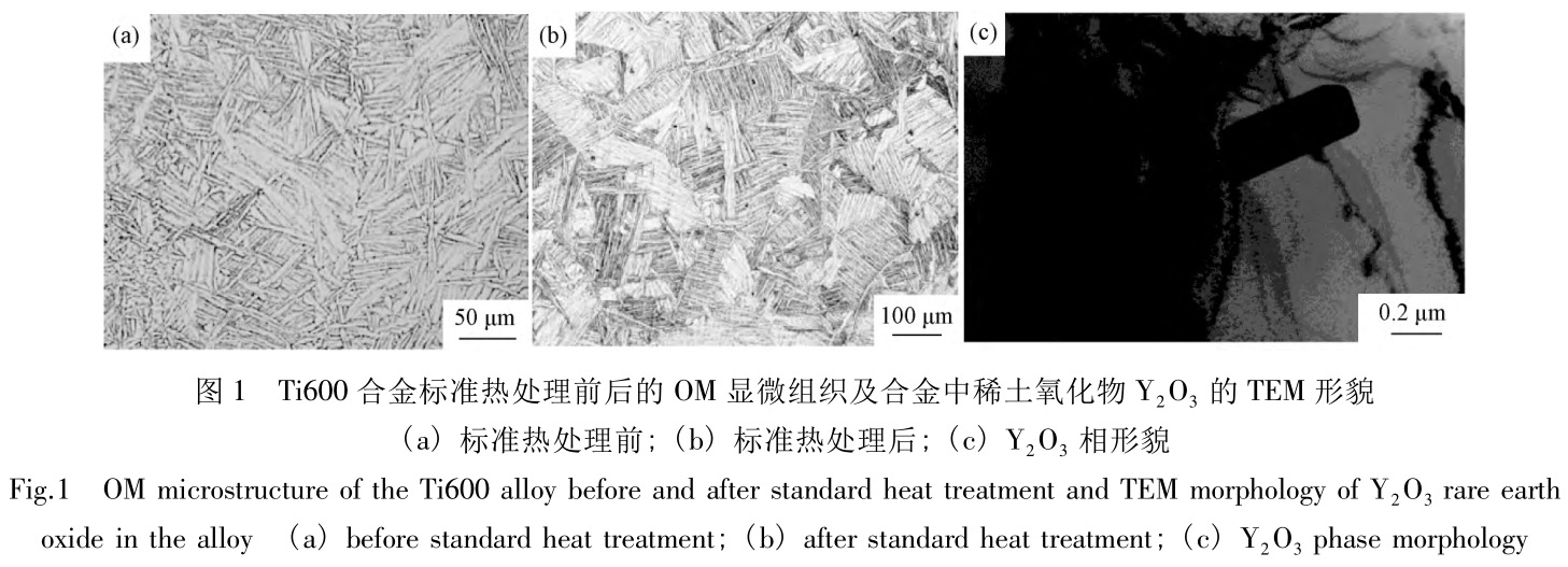 1727953324263817.jpg t1.jpg