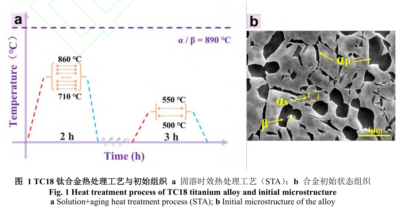 1729675120200022.jpg 1.jpg