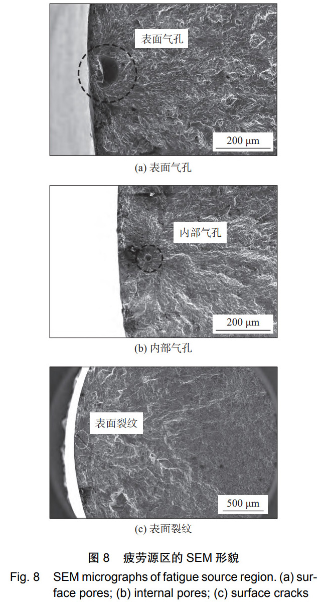 1731120064377249.jpg 8.jpg