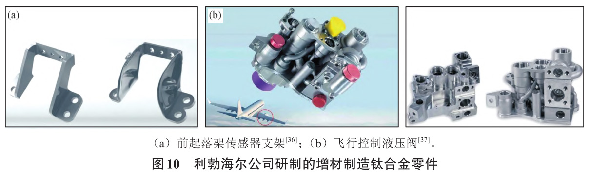 1735025172541217.jpg 10.jpg