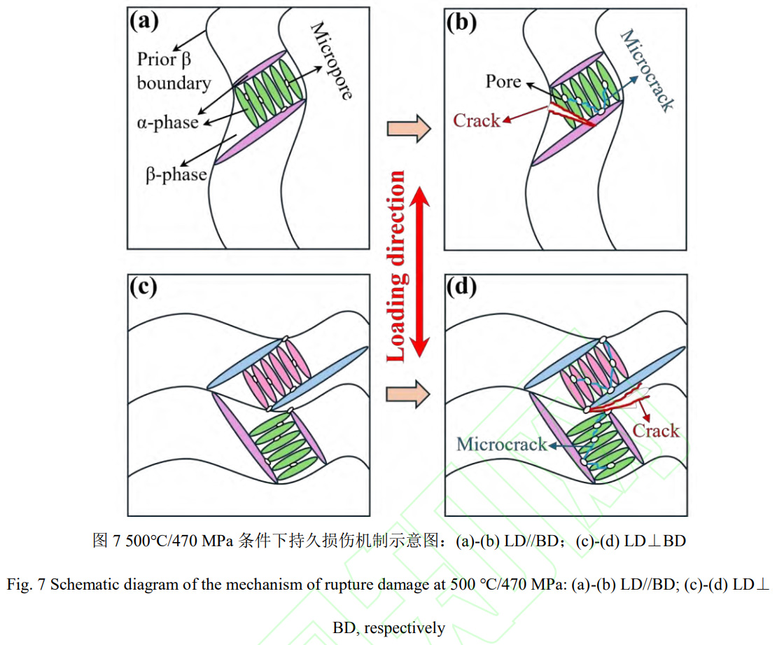 1764059950575341.jpg 未標(biāo)題-1.jpg