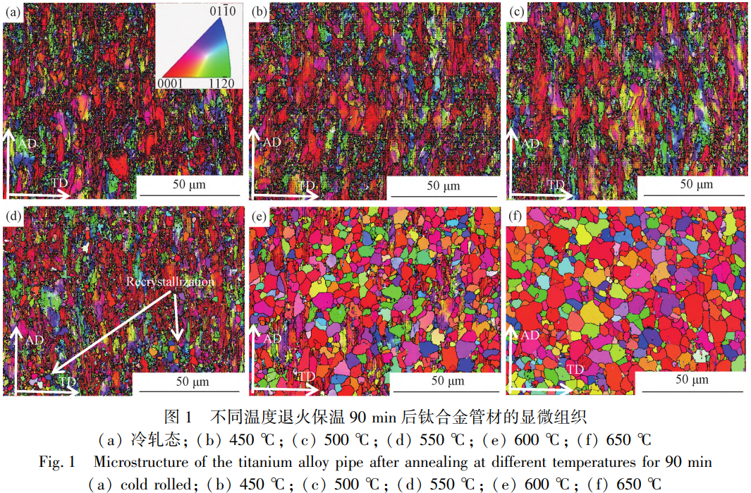 1775697419611092.png 1.png