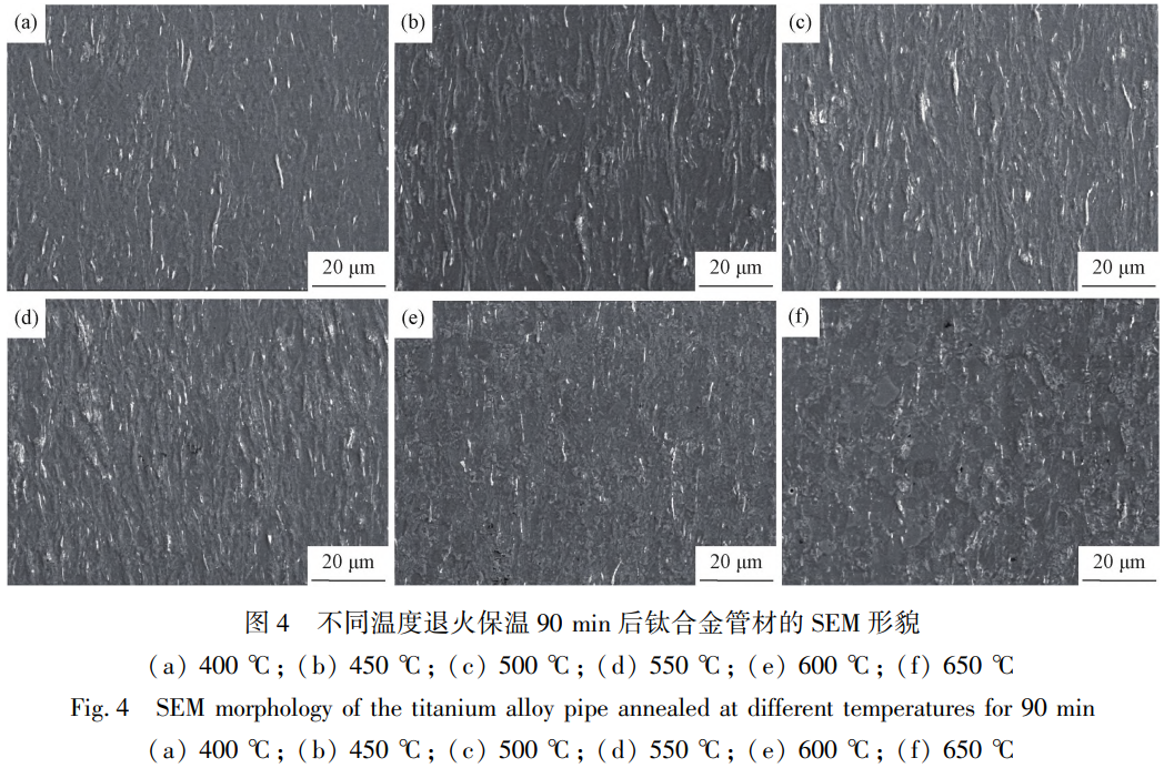 1775698446413650.png 4.png