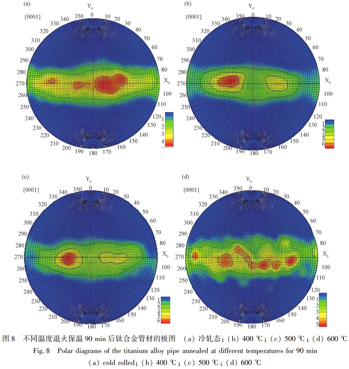 1775698480212570.jpg 8.jpg