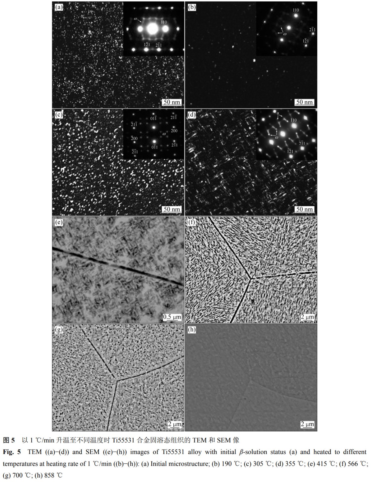 1776051525791977.jpg 5.jpg